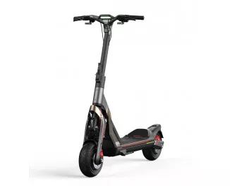 Электросамокат Segway-Ninebot GT2P (AA.00.0012.65)