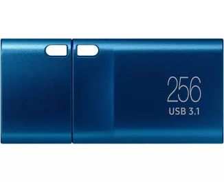 Флешка USB 3.2 256Gb Samsung Type-C (MUF-256DA/APC)