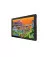 Графічний монітор Huion Kamvas 22 Plus (GS2202)