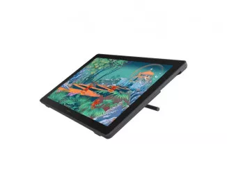 Графический монитор Huion Kamvas 24 (GS2401)