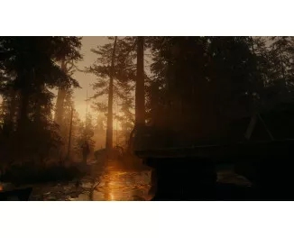 Игра для PS5 Alan Wake 2 Deluxe Edition (Blu-ray диск) (5056635609427)
