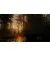 Игра для PS5 Alan Wake 2 Deluxe Edition (Blu-ray диск) (5056635609427)