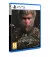 Игра для PS5 Black Myth: Wukong (Blu-ray диск) (5056635611864)