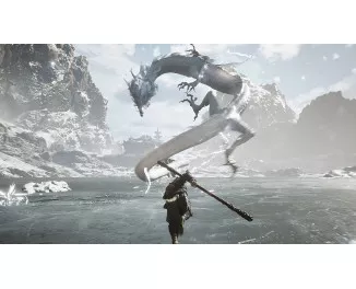 Игра для PS5 Black Myth: Wukong (Blu-ray диск) (5056635611864)
