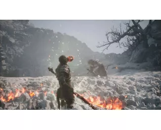 Игра для PS5 Black Myth: Wukong (Blu-ray диск) (5056635611864)