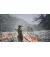Игра для PS5 Black Myth: Wukong (Blu-ray диск) (5056635611864)