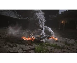 Игра для PS5 Black Myth: Wukong (Blu-ray диск) (5056635611864)