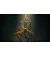 Игра для PS5 Elden Ring Shadow of the Erdtree Edition (Blu-ray диск) (3391892031959)