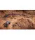 Игра для PS5 Expeditions: A MudRunner Game (Blu-ray диск)  (1137414)