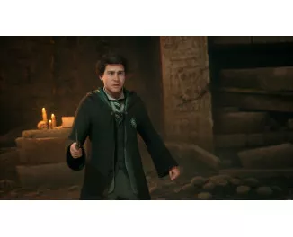 Игра для PS5 Hogwarts Legacy (Blu-ray диск) (5051895413425)