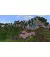 Гра для PS5 Minecraft (Blu-ray диск) UA (5056635611741)