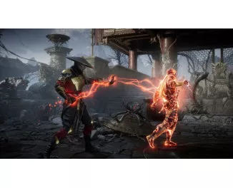 Гра для PS5 Mortal Kombat 11 Ultimate Edition (Blu-ray диск) (1000780971)