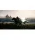 Игра для PS5 Rise of the Ronin (Blu-ray диск) (1000042897)