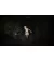 Игра для PS5 Silent Hill 2 (Blu-ray диск) (4012927150641)