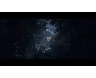 Игра для PS5 Until Dawn (Blu-ray диск) (1000044321)