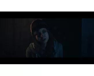 Игра для PS5 Until Dawn (Blu-ray диск) (1000044321)