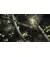 Гра для Xbox Dragon's Dogma II (Blu-ray диск) (5055060954645)