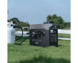Инверторный комбинированный генератор (газ-бензин) EcoFlow Smart Generator Dual Fuel (GasEBDUAL-EU, ZDG200-EU)