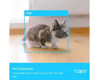 IP-камера видеонаблюдения TP-Link Tapo C225