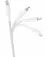 Кабель USB Type-C > USB Type-C Belkin 2м 60Вт Type-C White (CAB004BT2MWH)