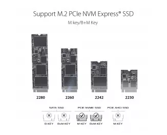 Карман внешний SSD M.2 PCIe NVMe ASUS ROG Strix Arion (ESD-S1C/BLK/G/AS)