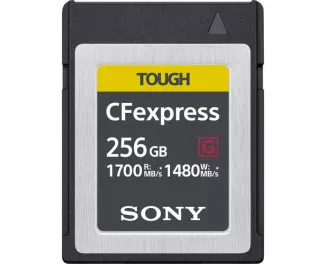 Карта памяти CFExpress 256Gb Sony Tough Type B (CEBG256.SYM)