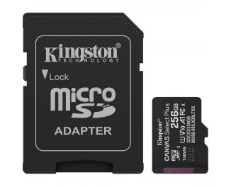 Карта памяти microSD 256Gb Canvas Select Plus Gen3 C10 UHS-I A1 V10 + SD адаптер (SDCS3/256GB)