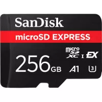 Карта памяти microSD 256Gb SanDisk Express Memory Card (SDSQXFN-256G-GN4NN)