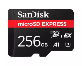 Карта памяти microSD 256Gb SanDisk Express Memory Card (SDSQXFN-256G-GN4NN)