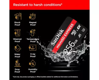 Карта памяти microSD 256Gb SanDisk Express Memory Card (SDSQXFN-256G-GN4NN)
