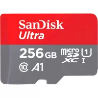 Карта пам'яті microSD 256Gb SanDisk Ultra 256Gb class 10 A1 + SD адаптер (SDSQUAC-256G-GN6MN)