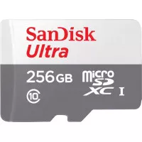 Карта пам'яті microSD 256Gb SanDisk Ultra Class 10 UHS-I (SDSQUNR-256G-GN3MN)