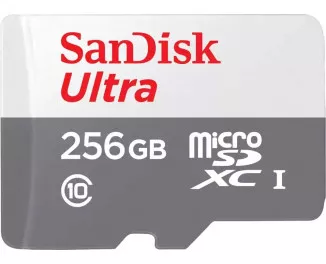 Карта памяти microSD 256Gb SanDisk Ultra Class 10 UHS-I (SDSQUNR-256G-GN3MN)