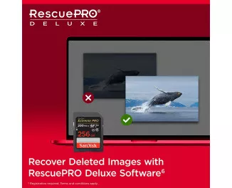 Карта памяти SD 256Gb SanDisk Extreme PRO class 10 UHS-I U3 V30 (SDSDXXD-256G-GN4IN)