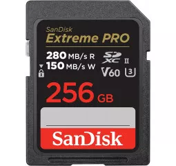 Карта памяти SD 256Gb SanDisk Extreme PRO (SDSDXEP-256G-GN4IN)