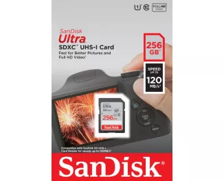 Карта пам'яті SD 256Gb SanDisk Ultra UHS-1 class 10 (SDSDUN4-256G-GN6IN)