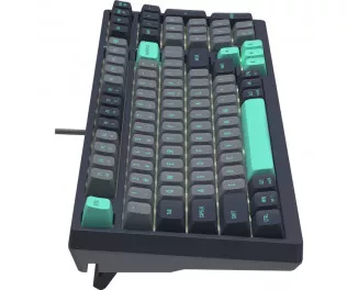 Клавиатура A4Tech FS300 FS Switches USB Panda Rock Climbin (4711422003086)