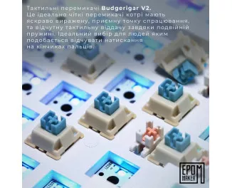 Клавіатура бездротова Epomaker TH80 SE 75 Budgerigar V2 Switch Hot-Swap RGB Wireless/Bluetooth/USB UA Black (TH80-SE-B-BV2)