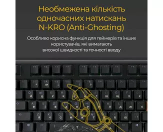 Клавіатура Ducky One 3 Cherry MX Blue RGB UA USB Black (DKON2108ST-CUAPXCLAWSC1)
