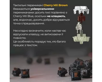 Клавіатура Ducky One 3 TKL Cherry MX Brown RGB UA USB White (DKON2187ST-BUAPXPWWWSC1)