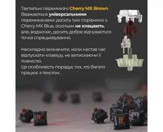 Клавіатура Ducky One 3 TKL Cherry MX Brown UA USB Cream (DKON2187-BUAPXМAEGGC1)