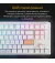Клавиатура Ducky One 3 TKL Cherry MX Speed Silver RGB UA USB White (DKON2187ST-PUAPXPWWWSC1)