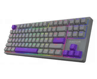 Клавіатура Hator Rockfall 2 Autograph Edition Mecha TKL Aurum Choco USB Titanium (HTK-526)