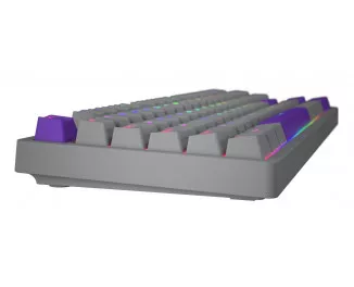 Клавіатура Hator Rockfall 2 Autograph Edition Mecha TKL Aurum Choco USB Titanium (HTK-526)