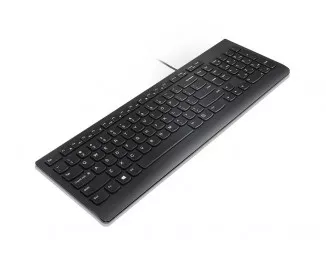 Клавиатура Lenovo Essential Wired Keyboard (Black) - Ukraine (4Y41C75141)