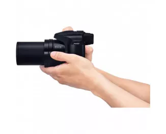 Компактний фотоапарат Panasonic Lumix DC-FZ82D Black (DC-FZ82DE-K)