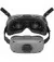 Комплект DJI Goggles Integra Motion Combo with RC Motion 2 (CP.FP.00000119.01)