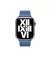 Кожаный ремешок для Apple Watch 38/40/41 mm Apple Modern Buckle Azure - Medium (MP8H3)