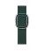 Кожаный ремешок для Apple Watch 38/40/41 mm Apple Modern Buckle Forest Green - Large (MTQK2)