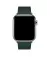 Кожаный ремешок для Apple Watch 38/40/41 mm Apple Modern Buckle Forest Green - Small (MTQH2)